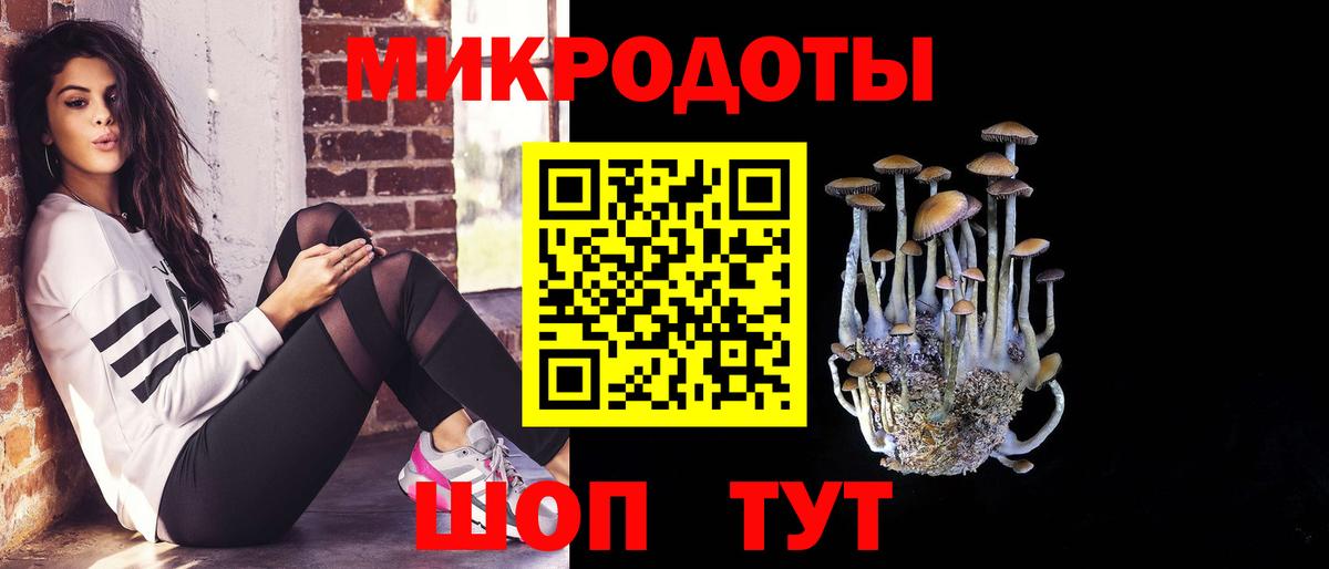 Галлюциногенные грибы прущие грибы  Вход с VPN  Россия 