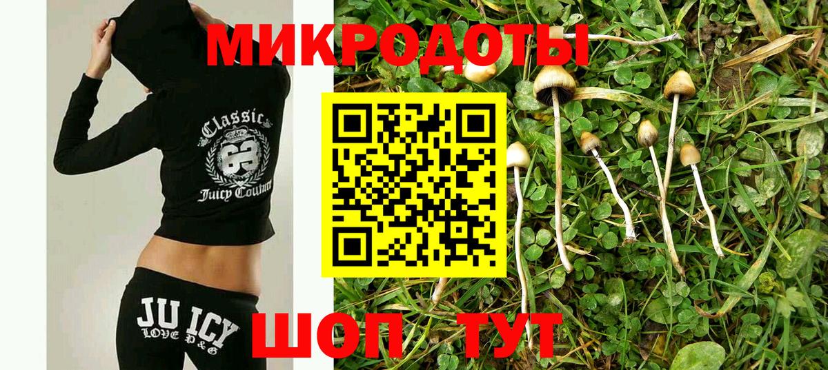 Псилоцибиновые грибы ЛСД Россия